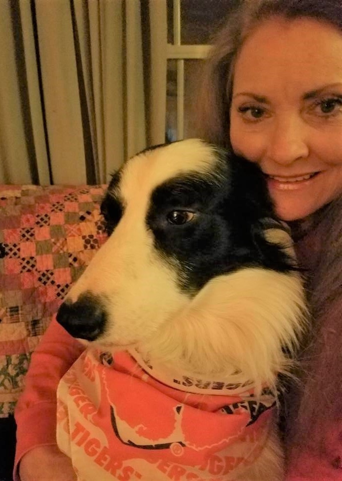 Breeder Janice with pet Border Collie, dad of the Bordoodle puppies.